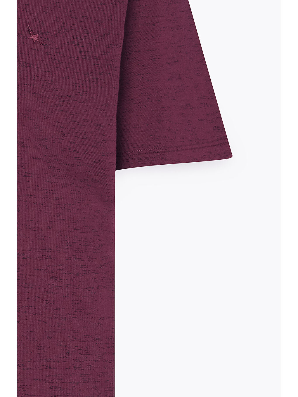 Erkek Bordo Slim Fit Dar Kesim Bisiklet Yaka Pamuklu Kısa Kollu Tişört-7