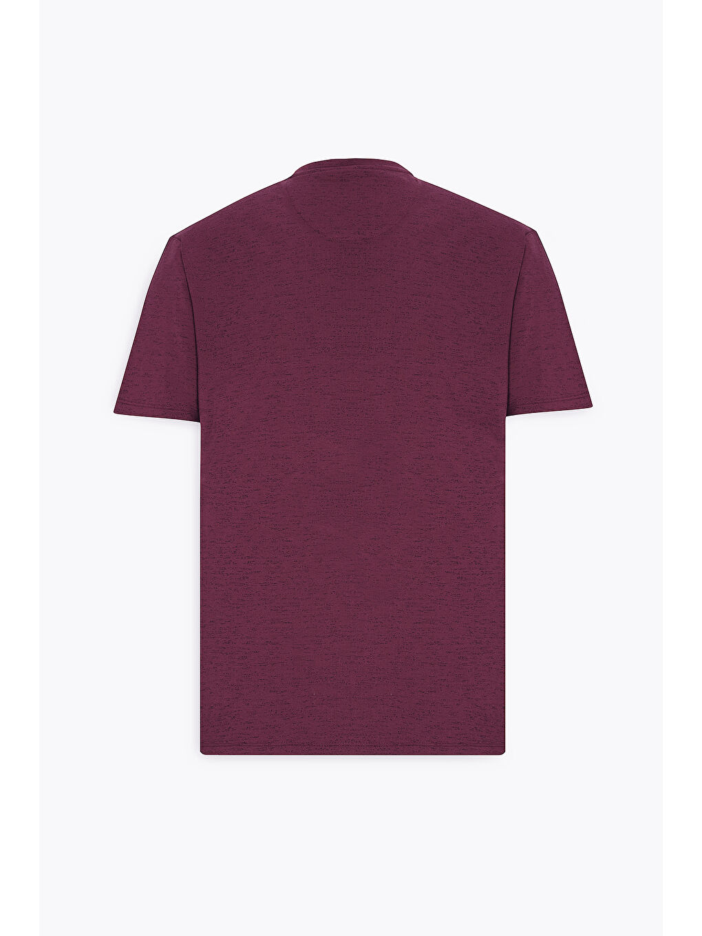 Erkek Bordo Slim Fit Dar Kesim Bisiklet Yaka Pamuklu Kısa Kollu Tişört-8