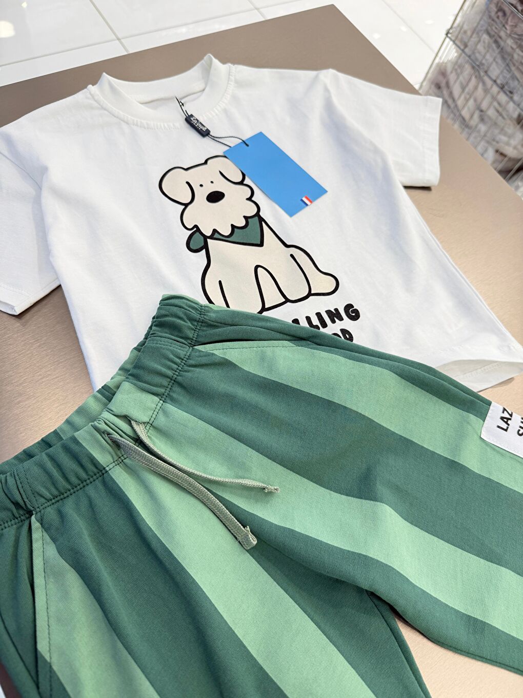 Karışık Erkek Çocuk Pamuklu Köpek Baskılı T-Shirt Eşofman Takım-2