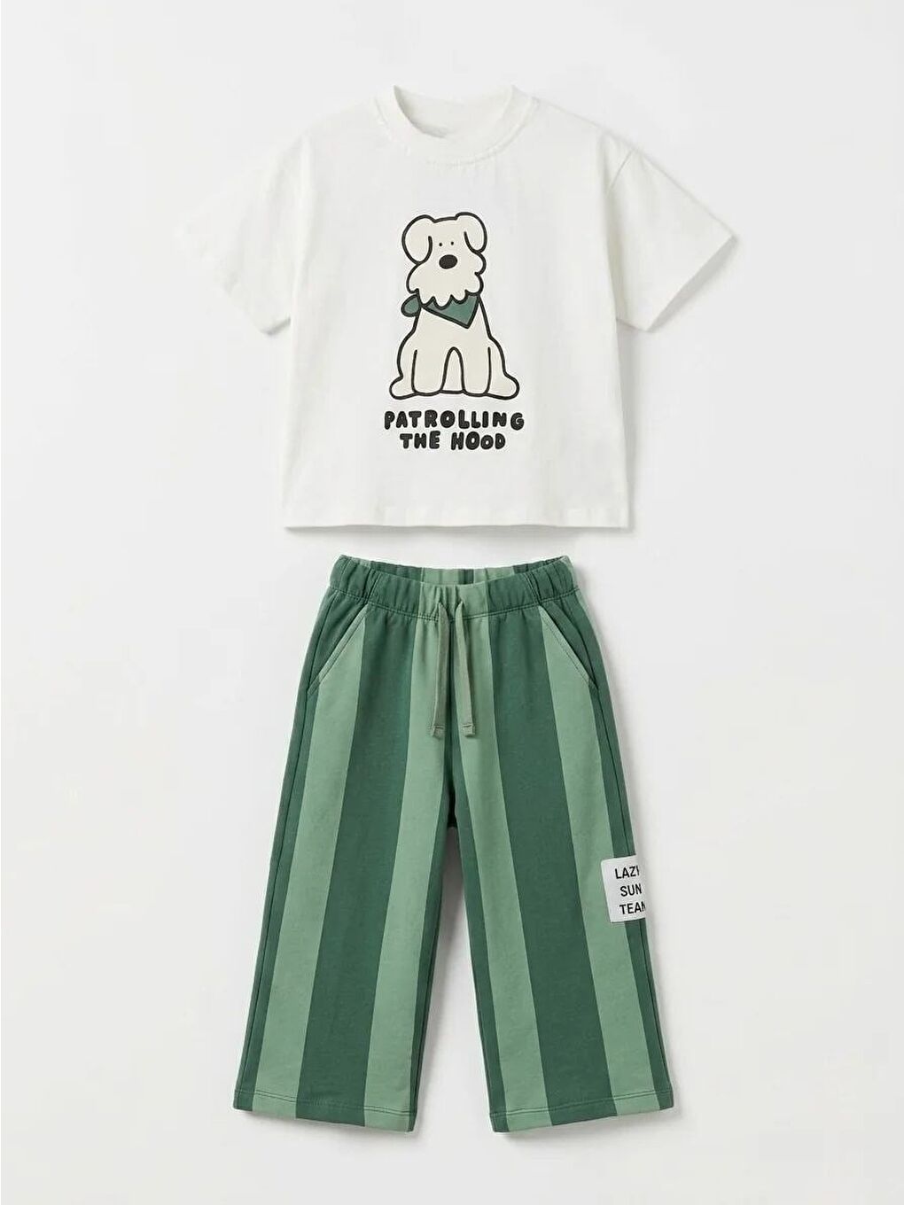 Karışık Erkek Çocuk Pamuklu Köpek Baskılı T-Shirt Eşofman Takım-3