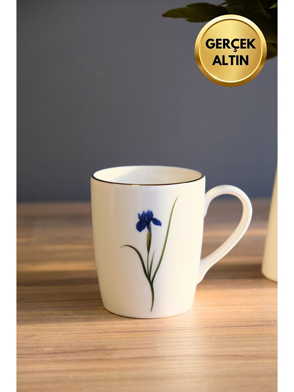 Karışık Porselen Natura İris Kulplu Mug Kupa 9cm 220ml Tekli-2