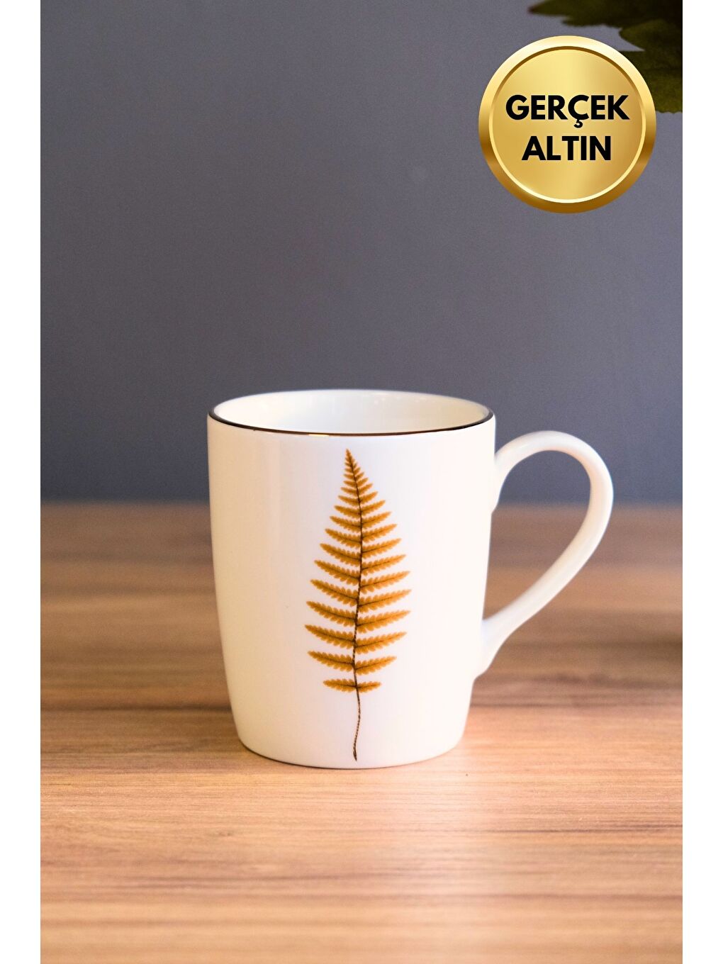Karışık Porselen Natura Fern Kulplu Mug Kupa 9cm 220ml Tekli
