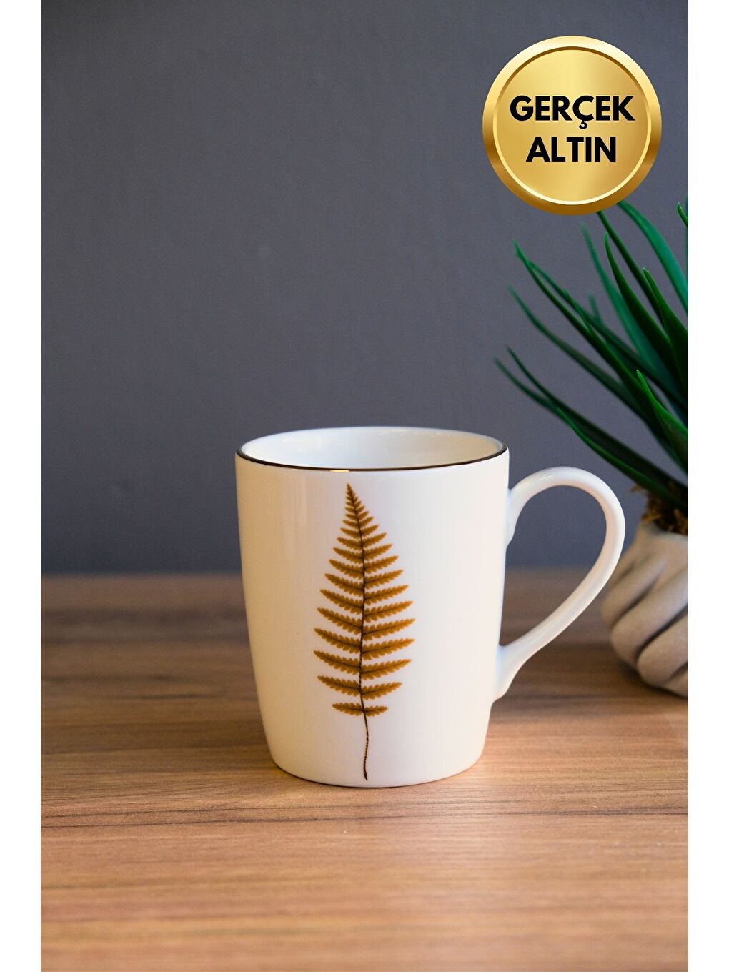 Karışık Porselen Natura Fern Kulplu Mug Kupa 9cm 220ml Tekli-2