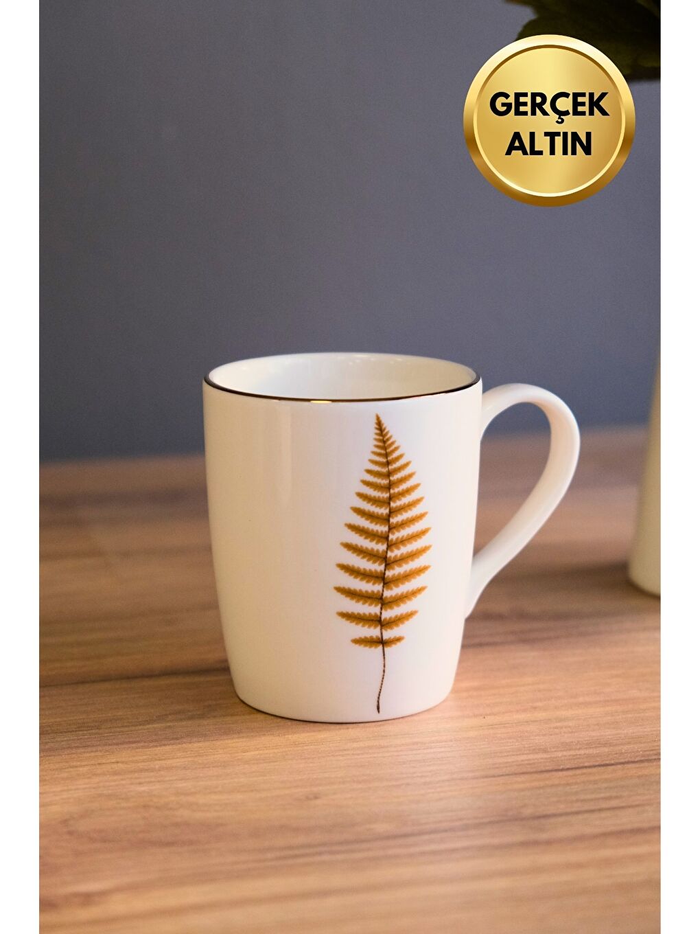 Karışık Porselen Natura Fern Kulplu Mug Kupa 9cm 220ml Tekli-4