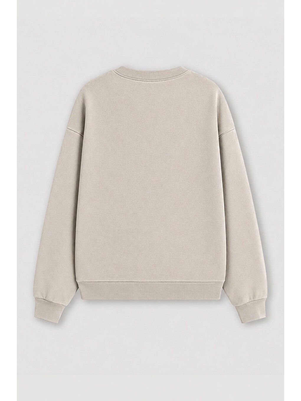 Bej Kadın Premium Kumaş 3 İplik Şardonlu Köpek Baskılı Sweatshirt-2