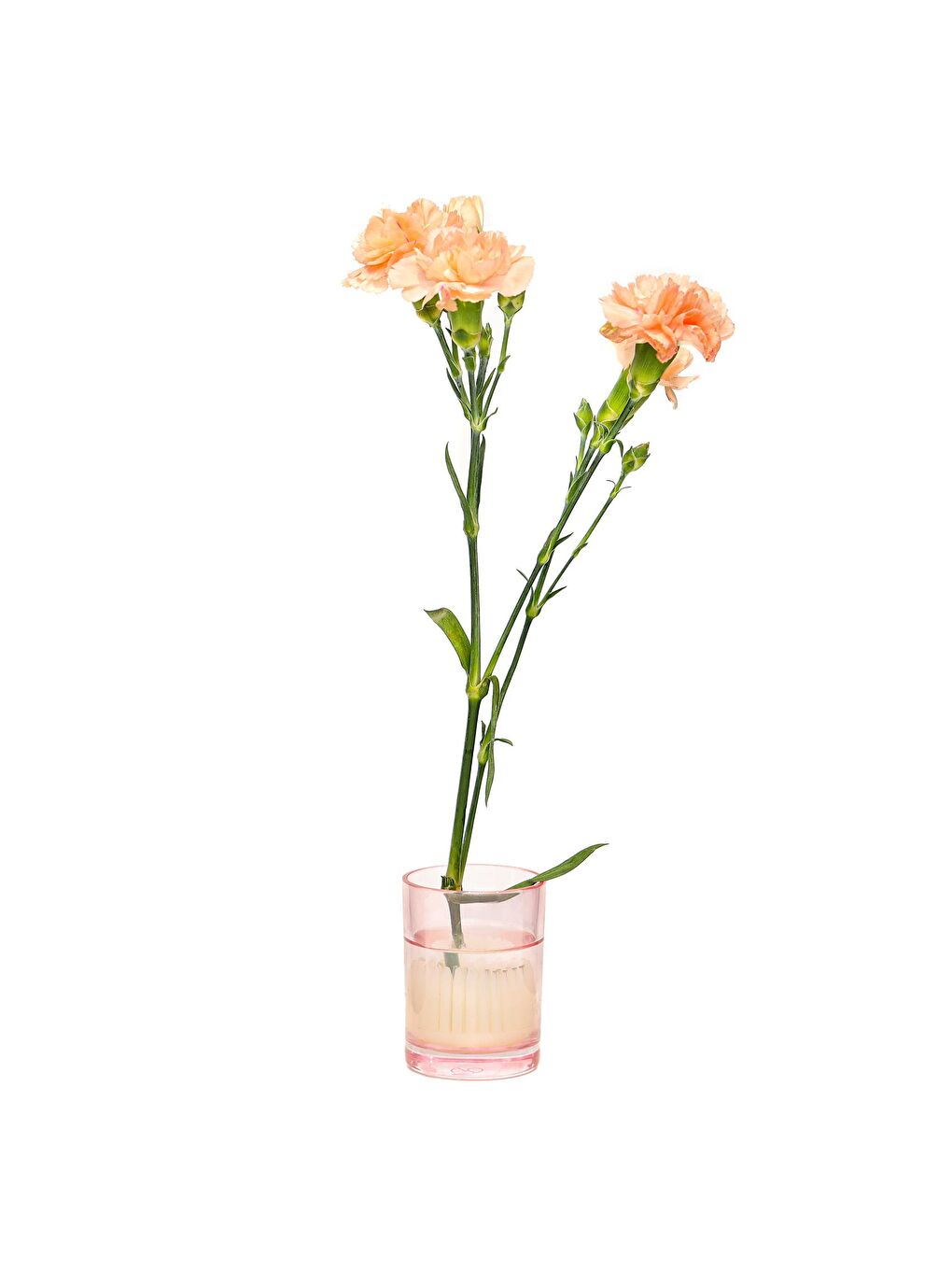 Flora Desing-Minimal Pembe Cam Vazo-2