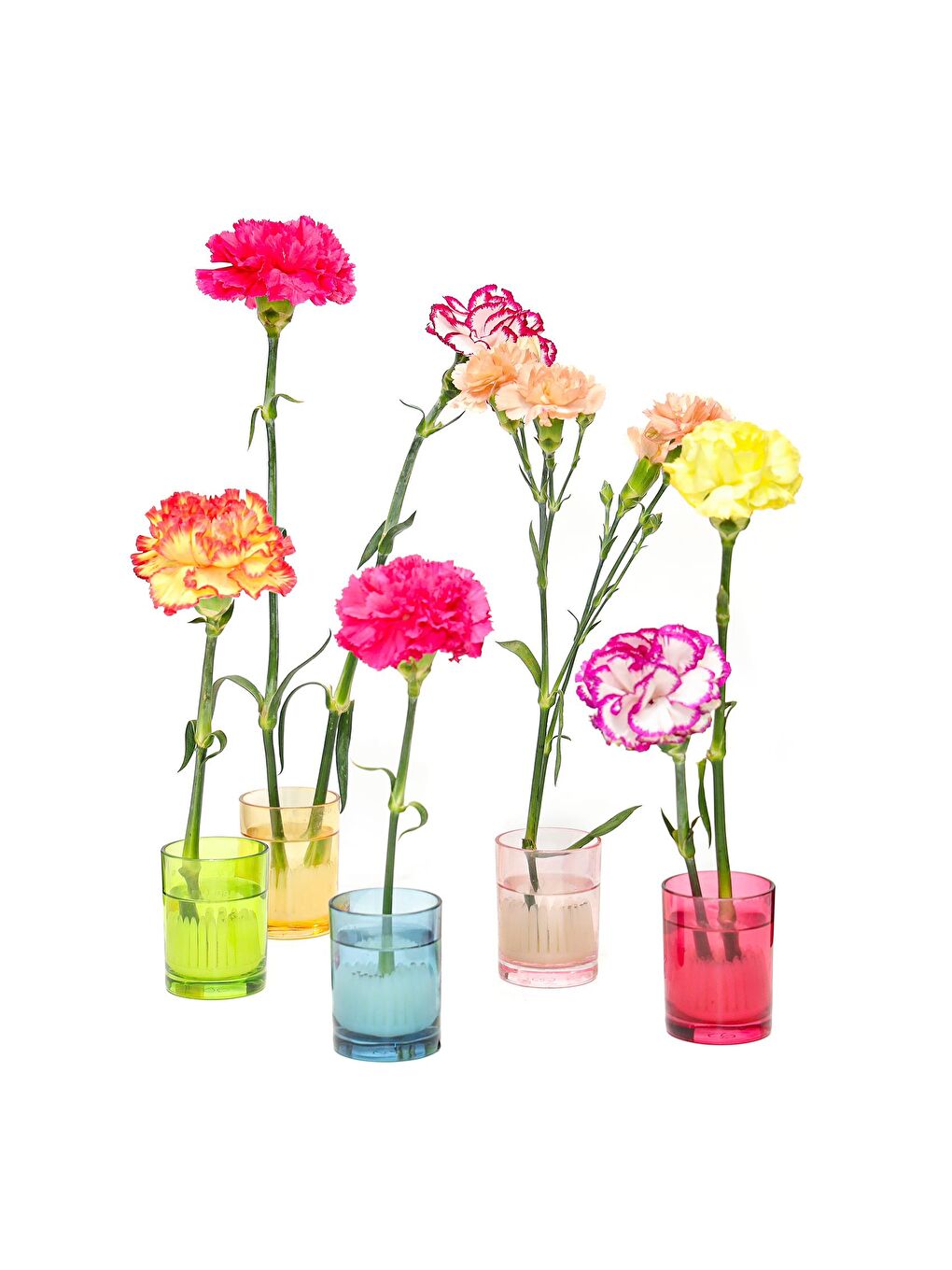 Flora Design-Minimal Kırmızı Cam Vazo-1