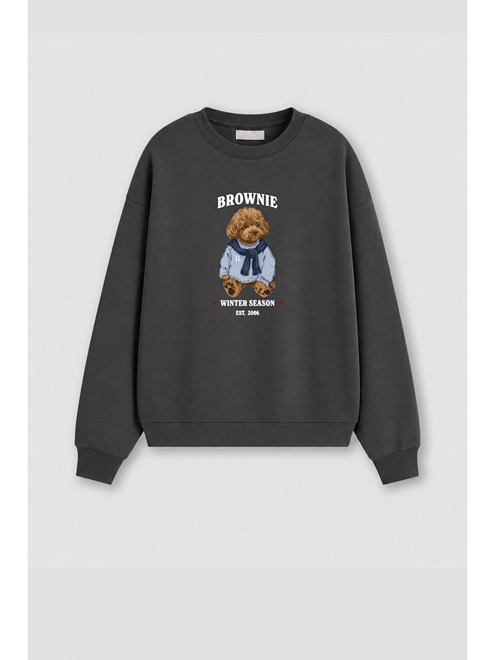 Antrasit Kadın Premium Kumaş 3 İplik Şardonlu Ayıcık Baskılı Sweatshirt-1