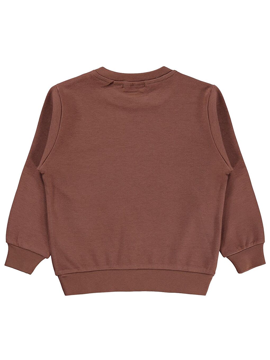 Boys Tili Rakun Ayı Baskılı 2-5 Yaş Sweatshirt - Kahverengi 3-4 Yaş-1