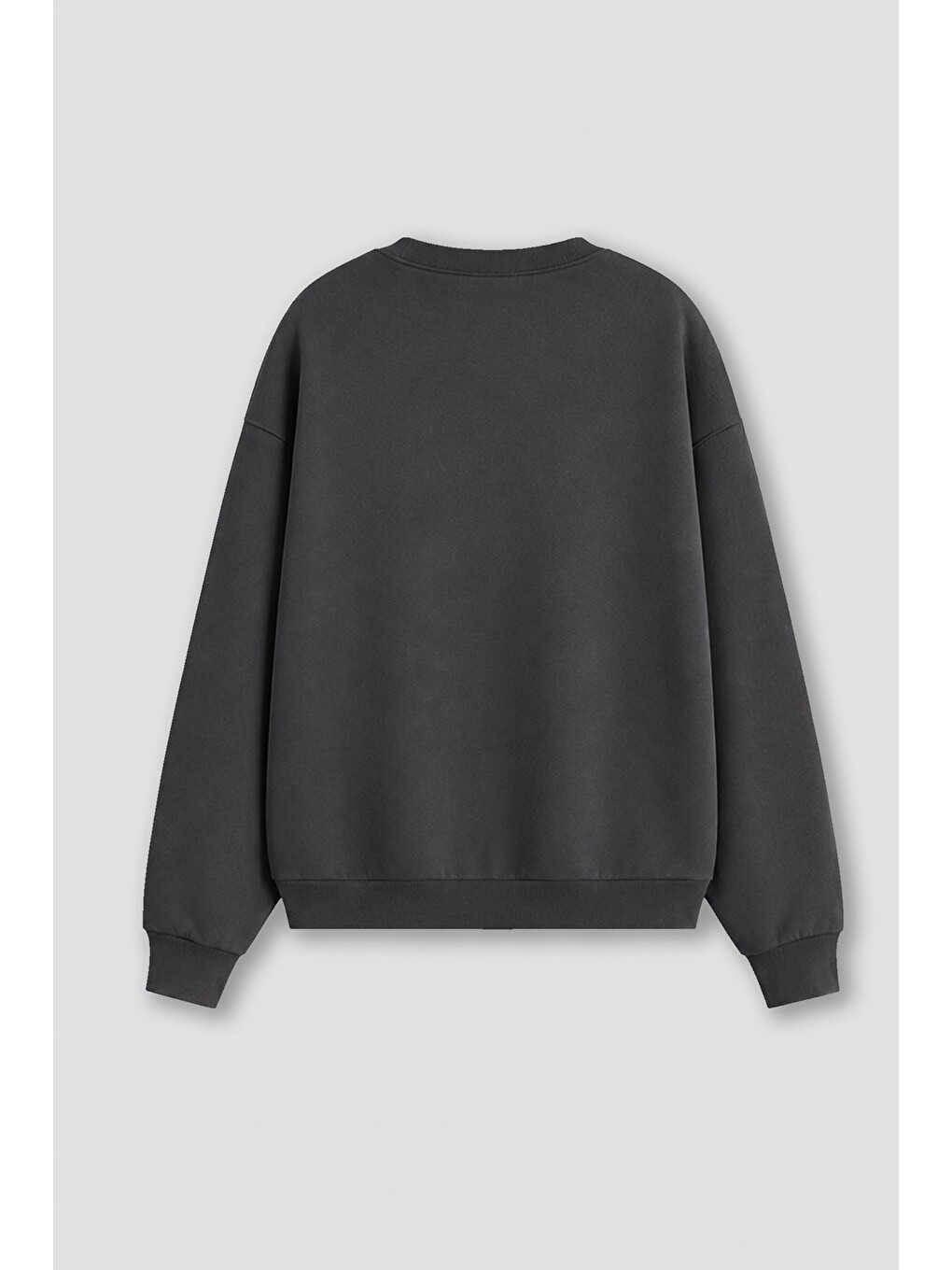 Antrasit Kadın Premium Kumaş 3 İplik Şardonlu Kurbağa Baskılı Sweatshirt-2