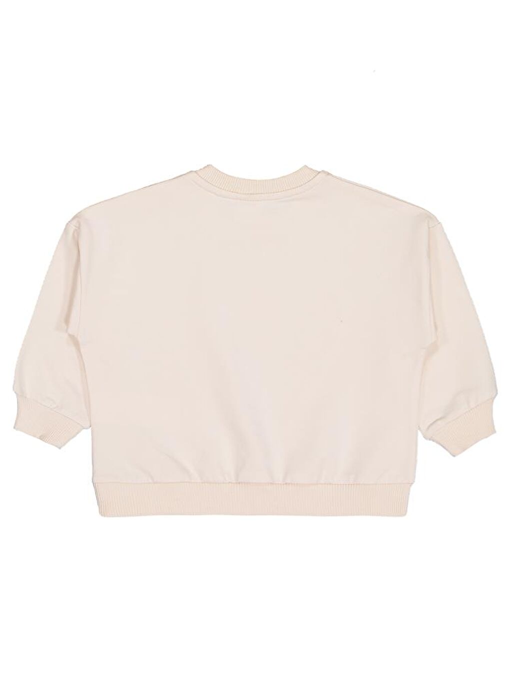 Beyaz Baby Ayıcık Baskılı 3'lü Set 6-18 Ay Sweatshirt-2