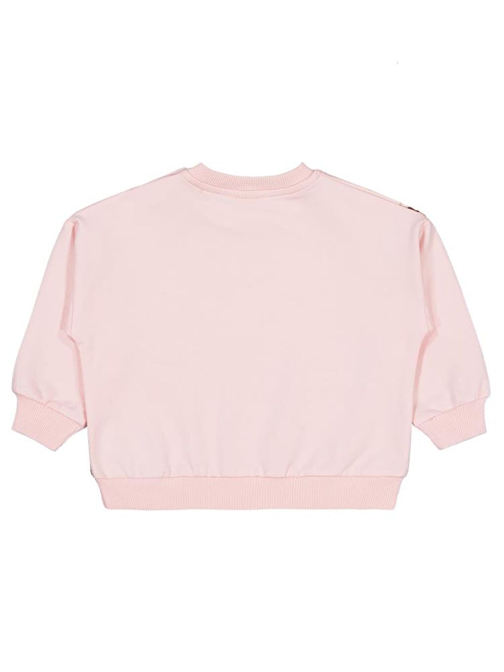 Beyaz Baby Ayıcık Baskılı 3'lü Set 6-18 Ay Sweatshirt-4