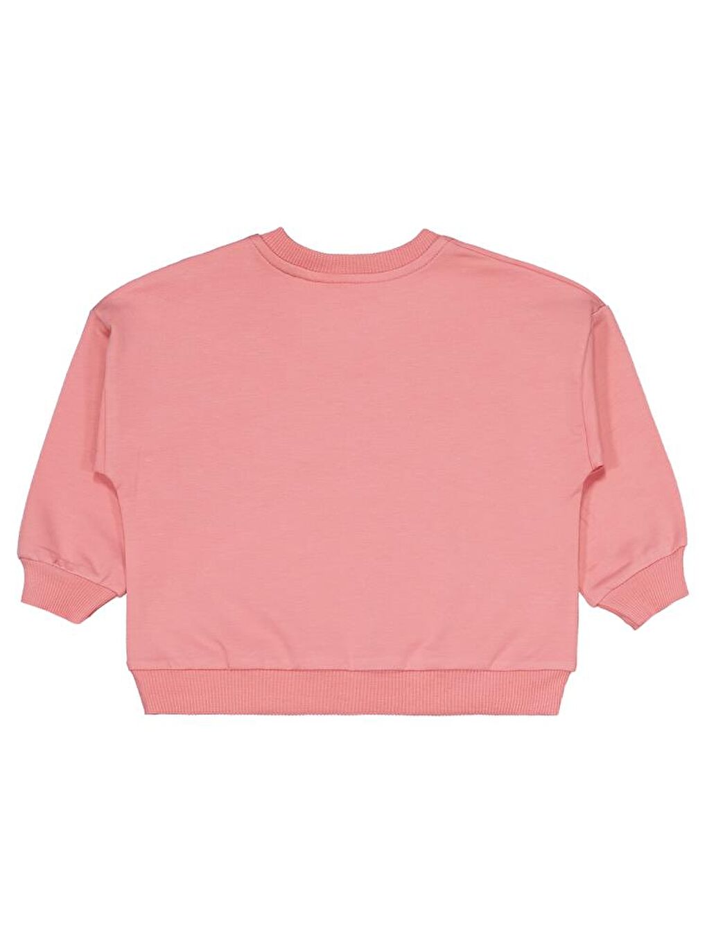 Beyaz Baby Ayıcık Baskılı 3'lü Set 6-18 Ay Sweatshirt-6