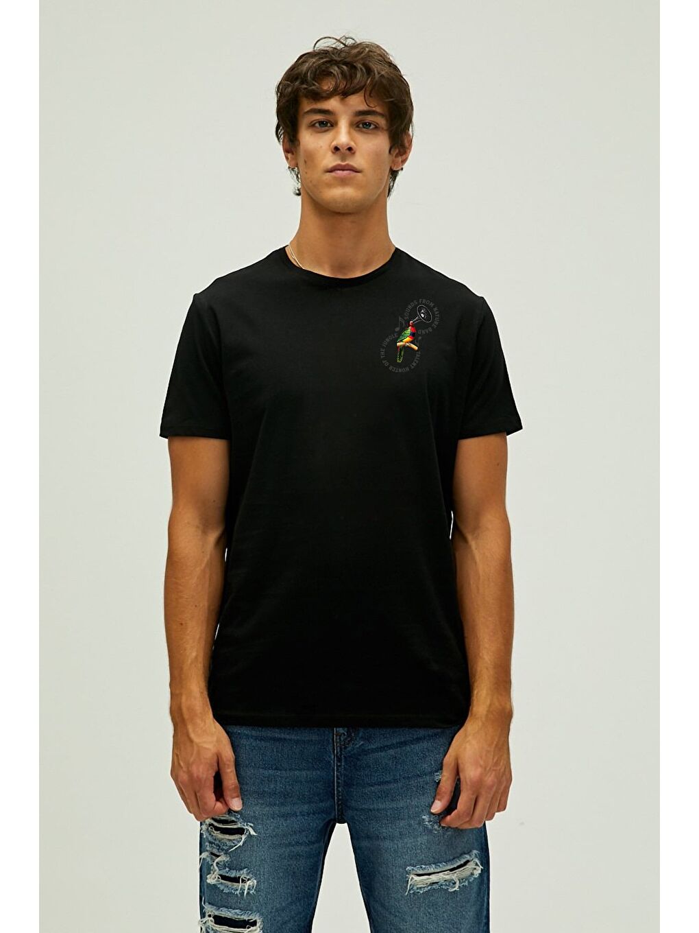 Nature Band Siyah Erkek Baskılı Tişört