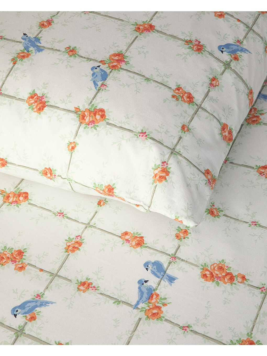 Mystery Birds Pamuklu Ranforce Çift Kişilik Nevresim Seti 200x220 cm Yeşil-2