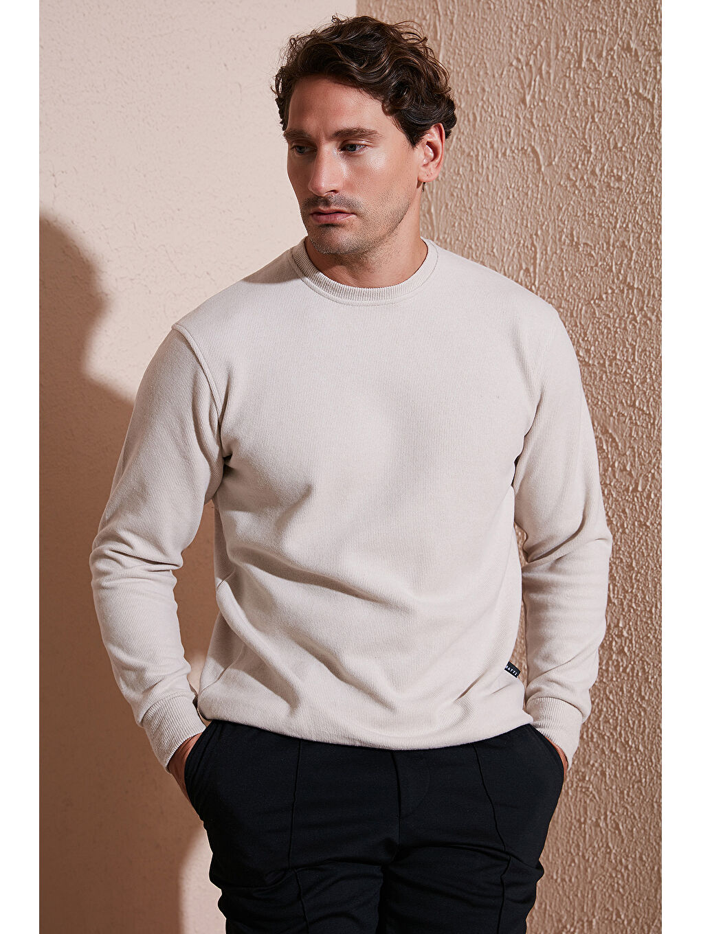 Bej Slim Fit Bisiklet Yaka Pamuklu Erkek Büyük Beden Kazak 456201