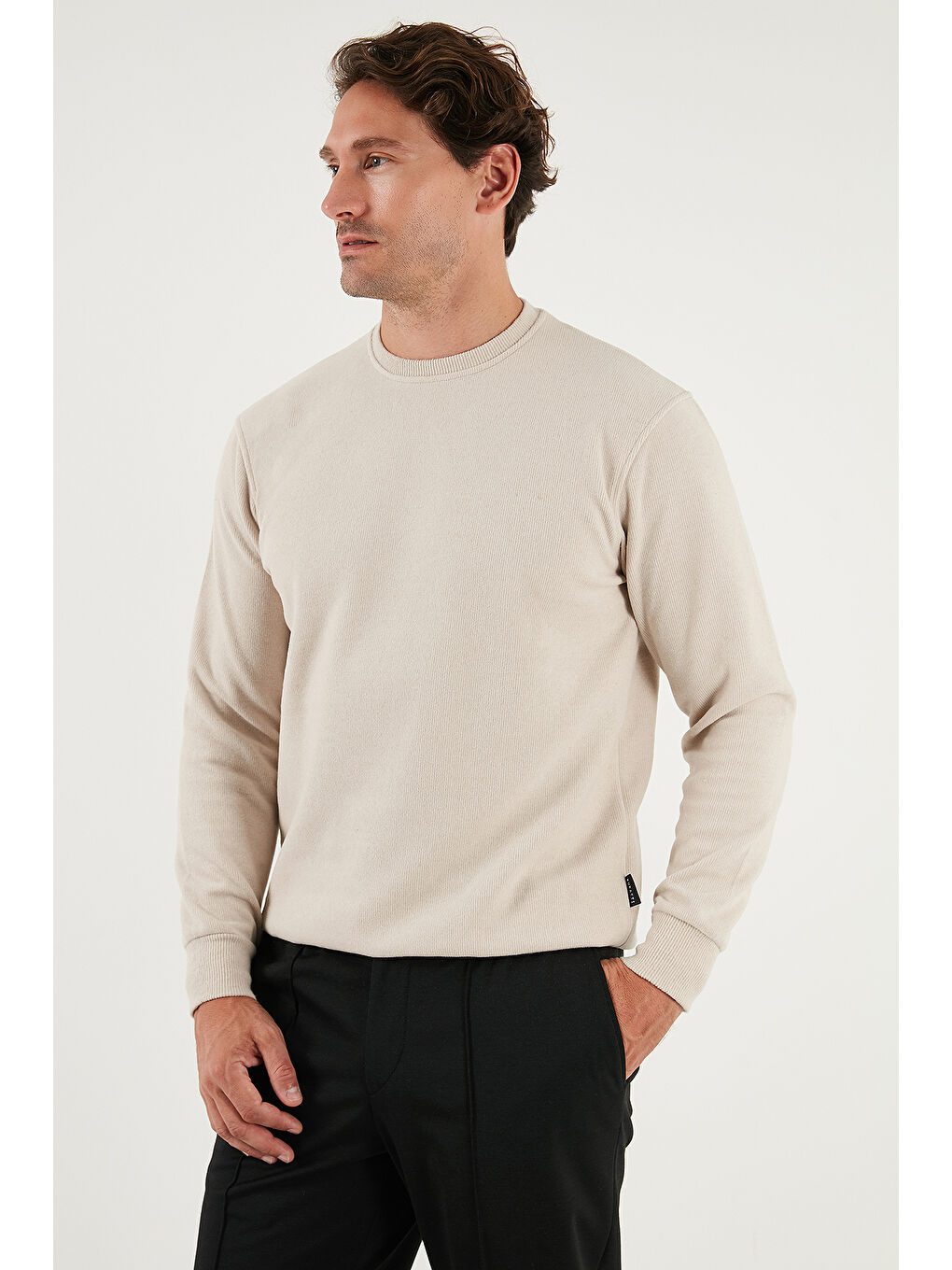 Bej Slim Fit Bisiklet Yaka Pamuklu Erkek Büyük Beden Kazak 456201-4