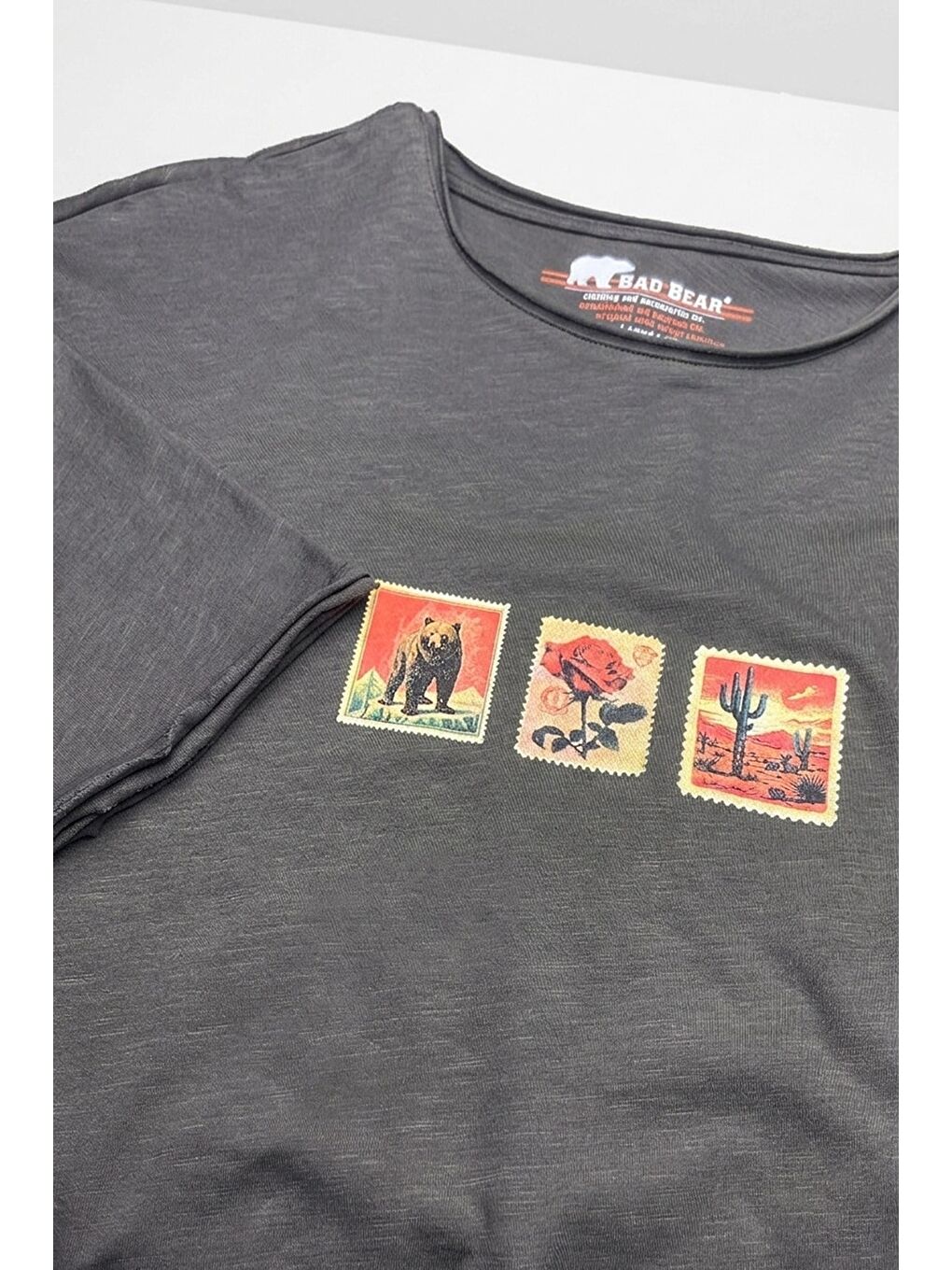 Gri Rose Asfalt Erkek Baskılı Tişört-3