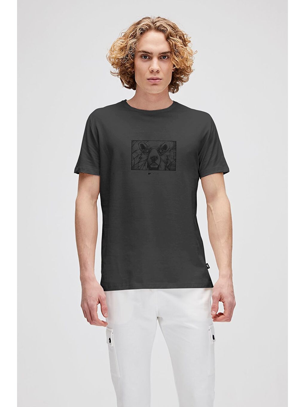 Wall Bear Antrasit Erkek Baskılı Tişört