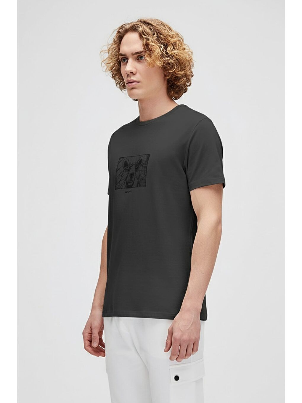 Wall Bear Antrasit Erkek Baskılı Tişört-1