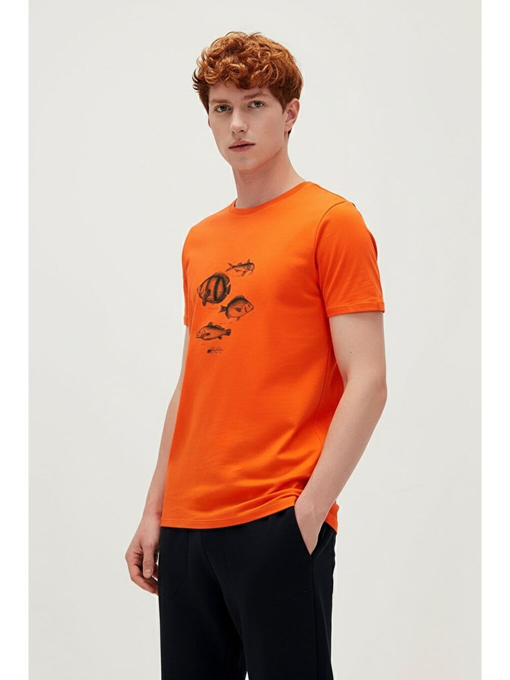 Drawıng Fish Turuncu Erkek Baskılı Tişört-1