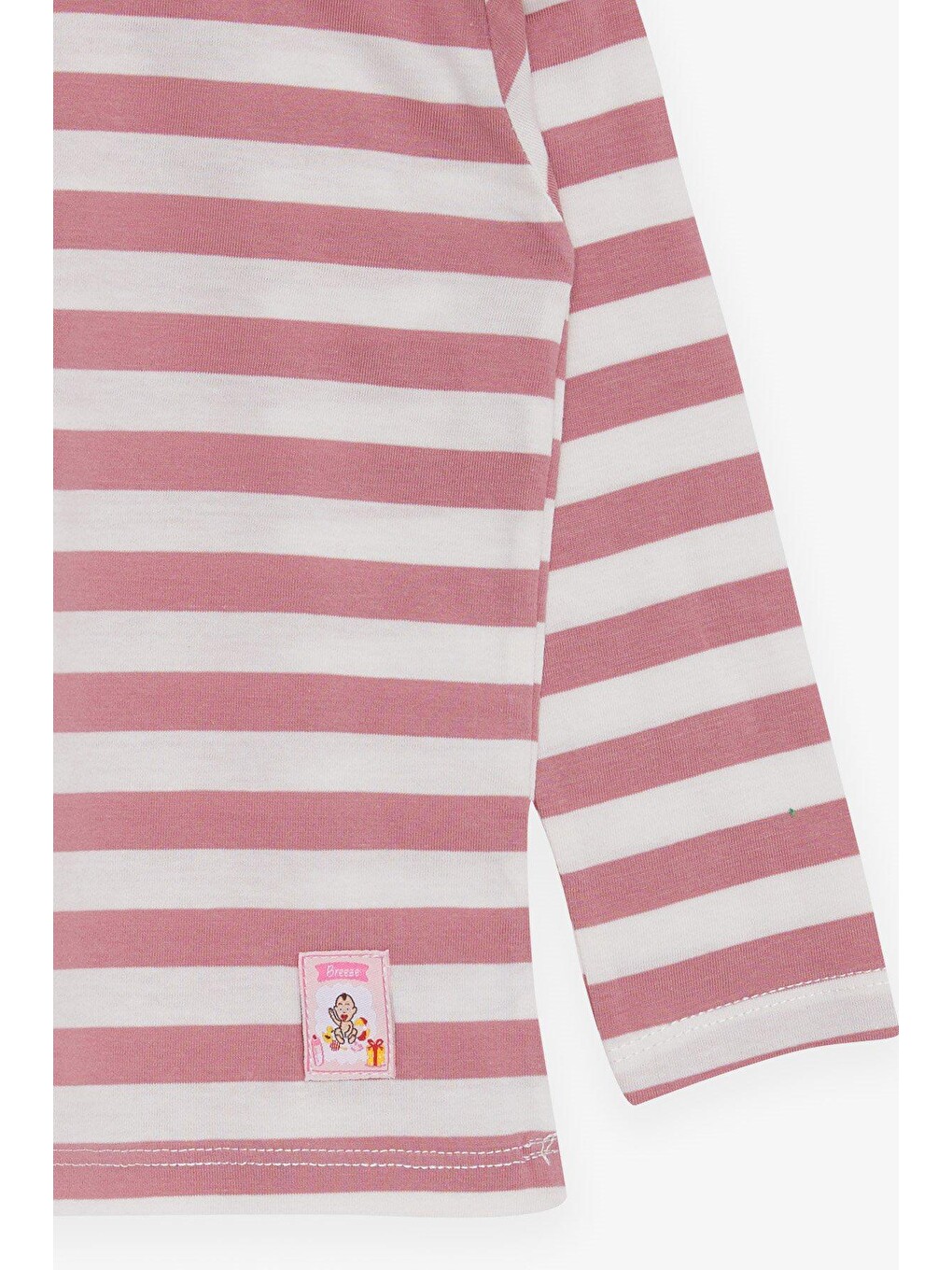 Pembe Kız Bebek Uzun Kollu Tişört Çizgili Gülkurusu (1 Yaş)-3