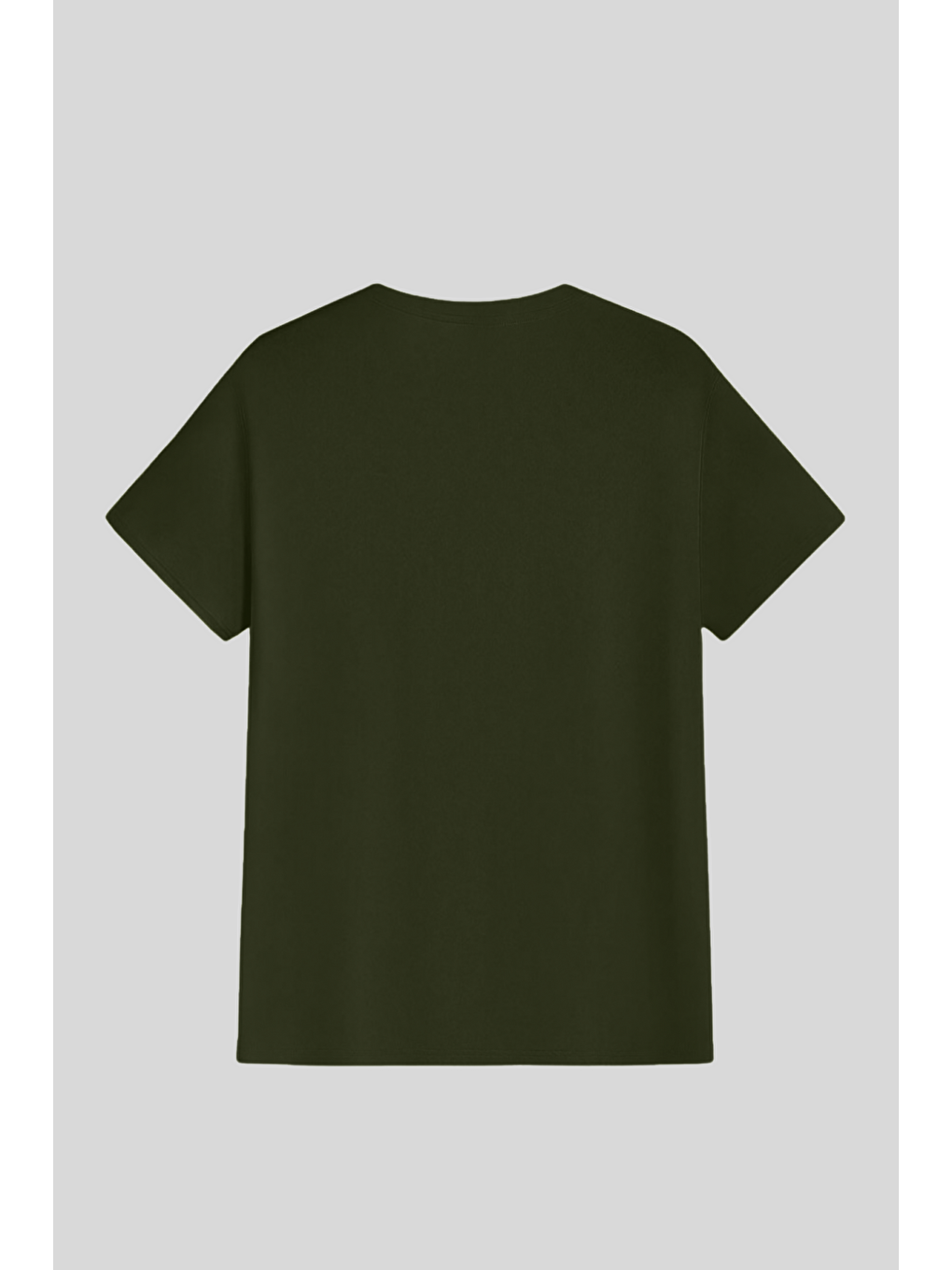 Haki Erkek %100 Pamuk Slim Fit Dar Kesim Bisiklet Yaka  BASIC-TSHIRT-1