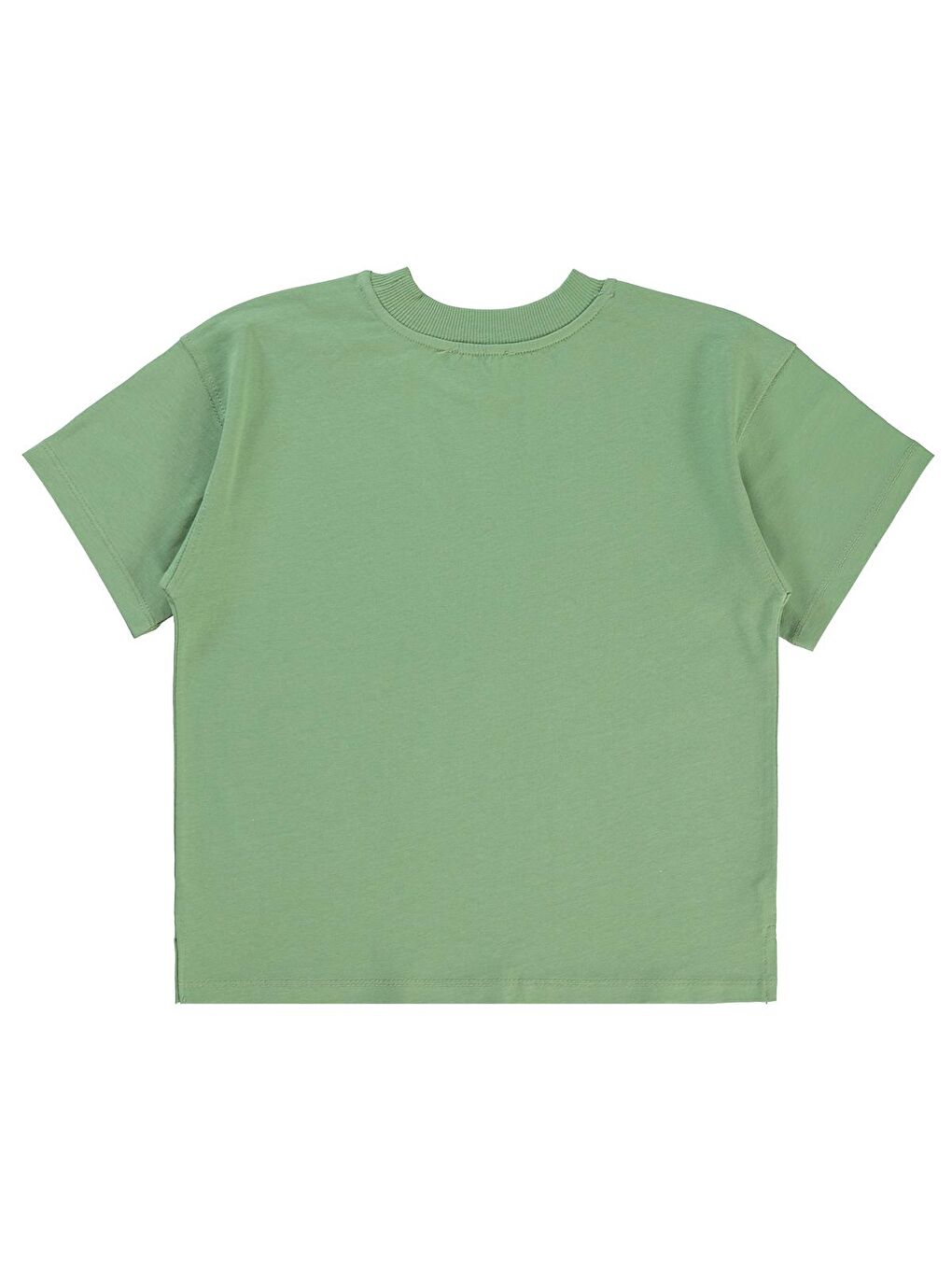 Boys Erkek Çocuk Tişört 6-9 Yaş Açık Haki-1