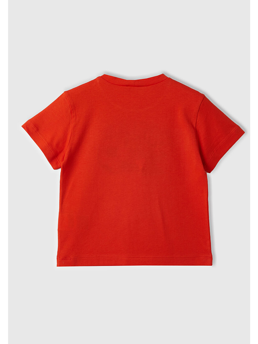 United Colors Of Benetton Narçiçeği Erkek Çocuk Nar Çiçeği Grafik Baskılı Bisiklet Yaka Rahat T-Shirt - 2