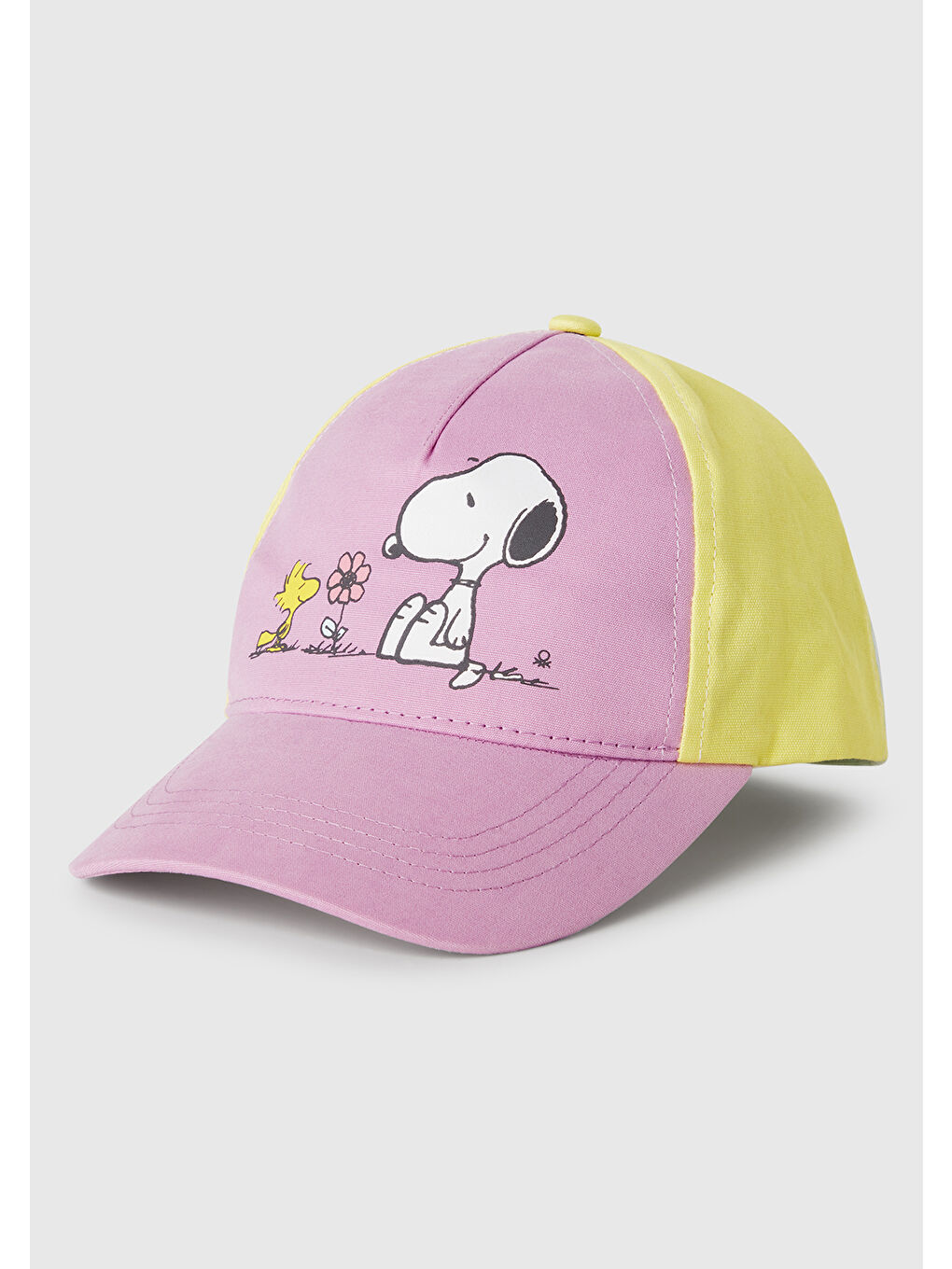 Erkek Çocuk Lila Peanuts Baskılı Renk Bloklu Kep Şapka