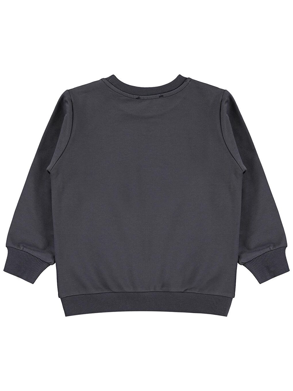 Antrasit Girls 2-5 Yaş Sweatshirt - Gri-1