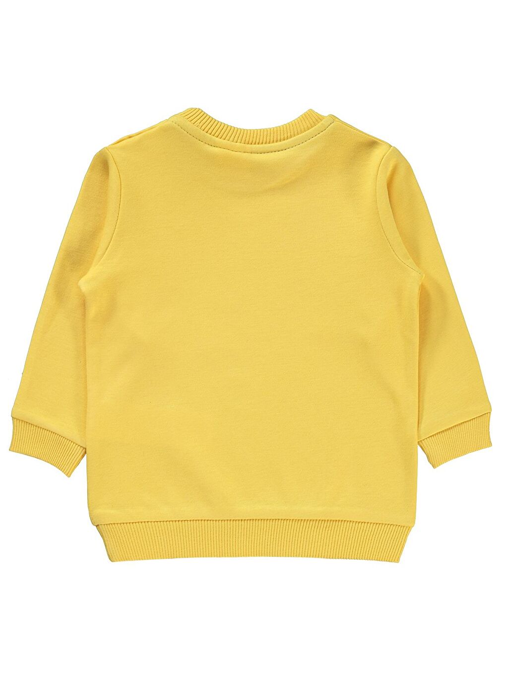Kahverengi Baby Erkek Bebek Sweatshirt 6-18 Ay Hardal-1