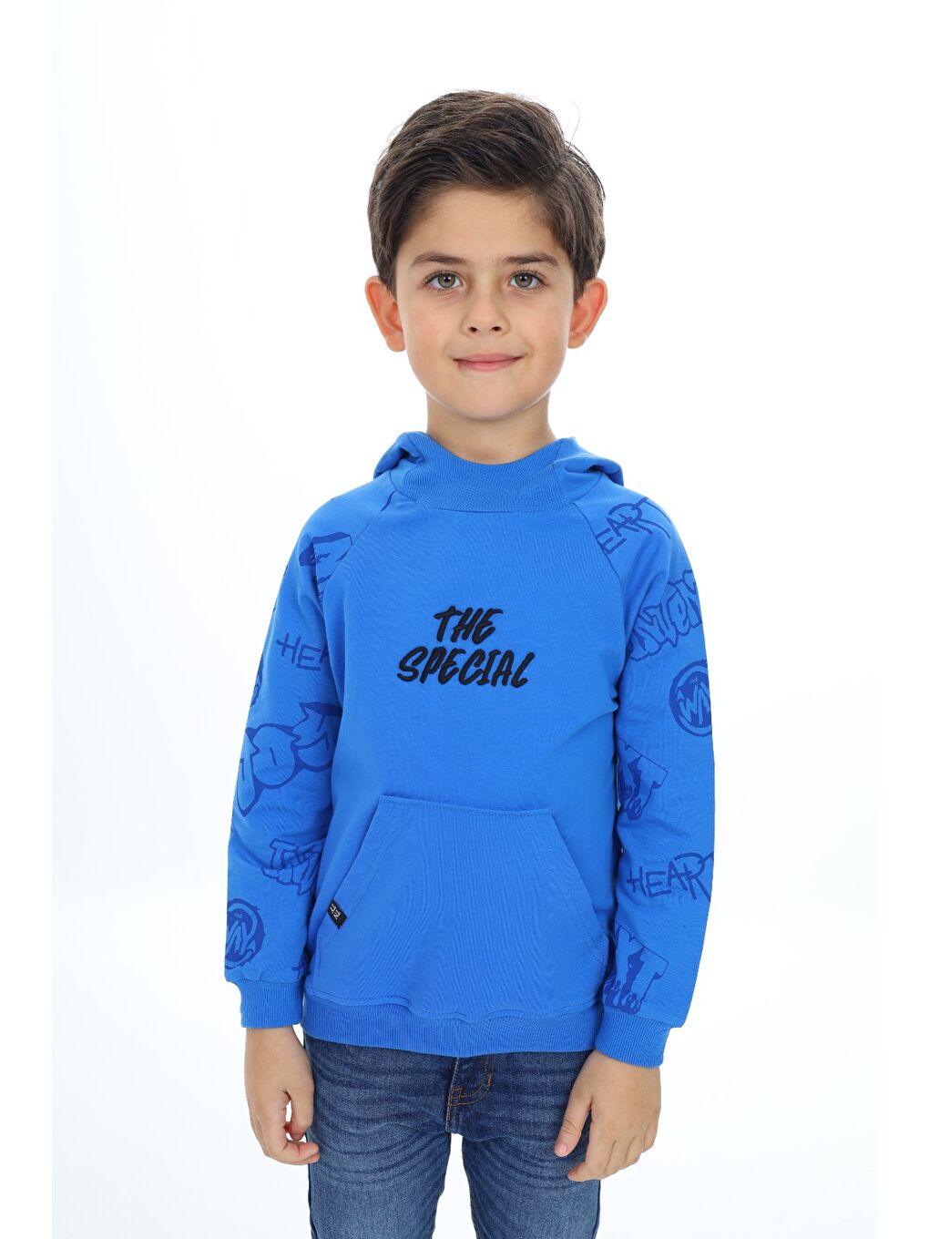 Mavi Erkek Çocuk Nakışlı Sweatshirt