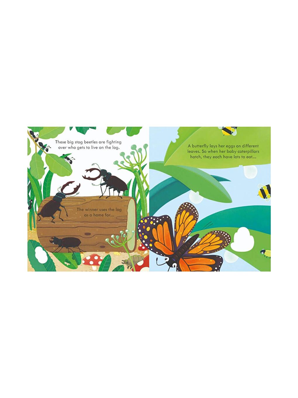 The Usborne Beyaz-Renklibaskı Peep Inside Bug Homes - 2