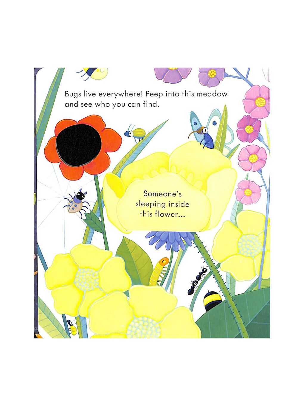 The Usborne Beyaz-Renklibaskı Peep Inside Bug Homes - 3