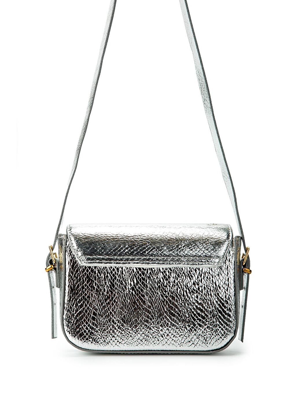 Gri Uzun Askılı Camelia Kadın Çapraz Çanta Silver-3