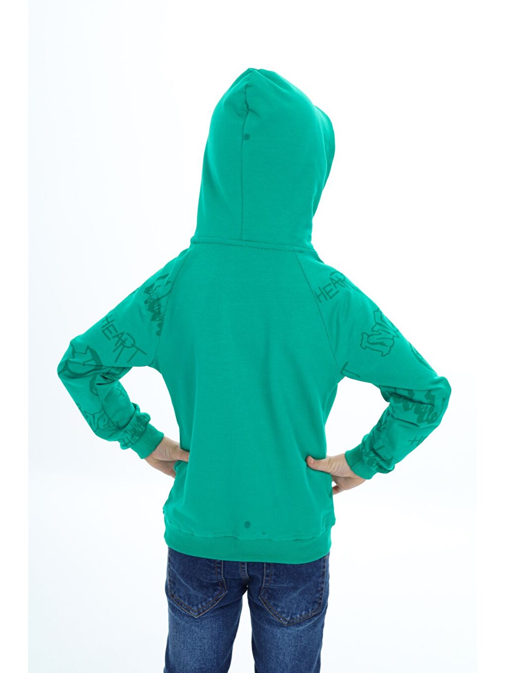 Toontoykids Yeşil Erkek Çocuk Nakışlı Sweatshirt - 3