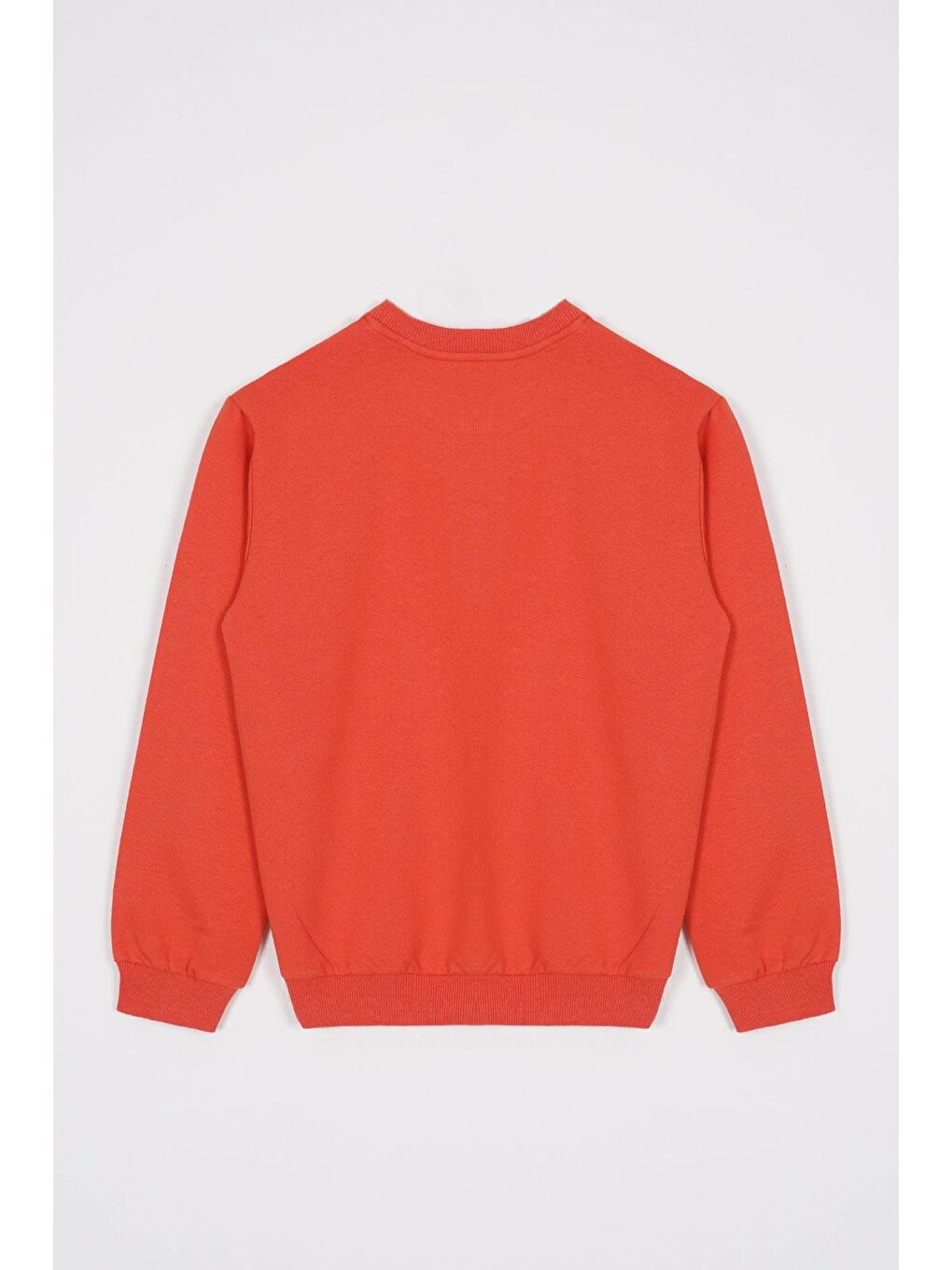 Kahverengi Bisiklet Yaka Yazı Baskılı Kiremit Renk Erkek Çocuk Sweatshirt-2