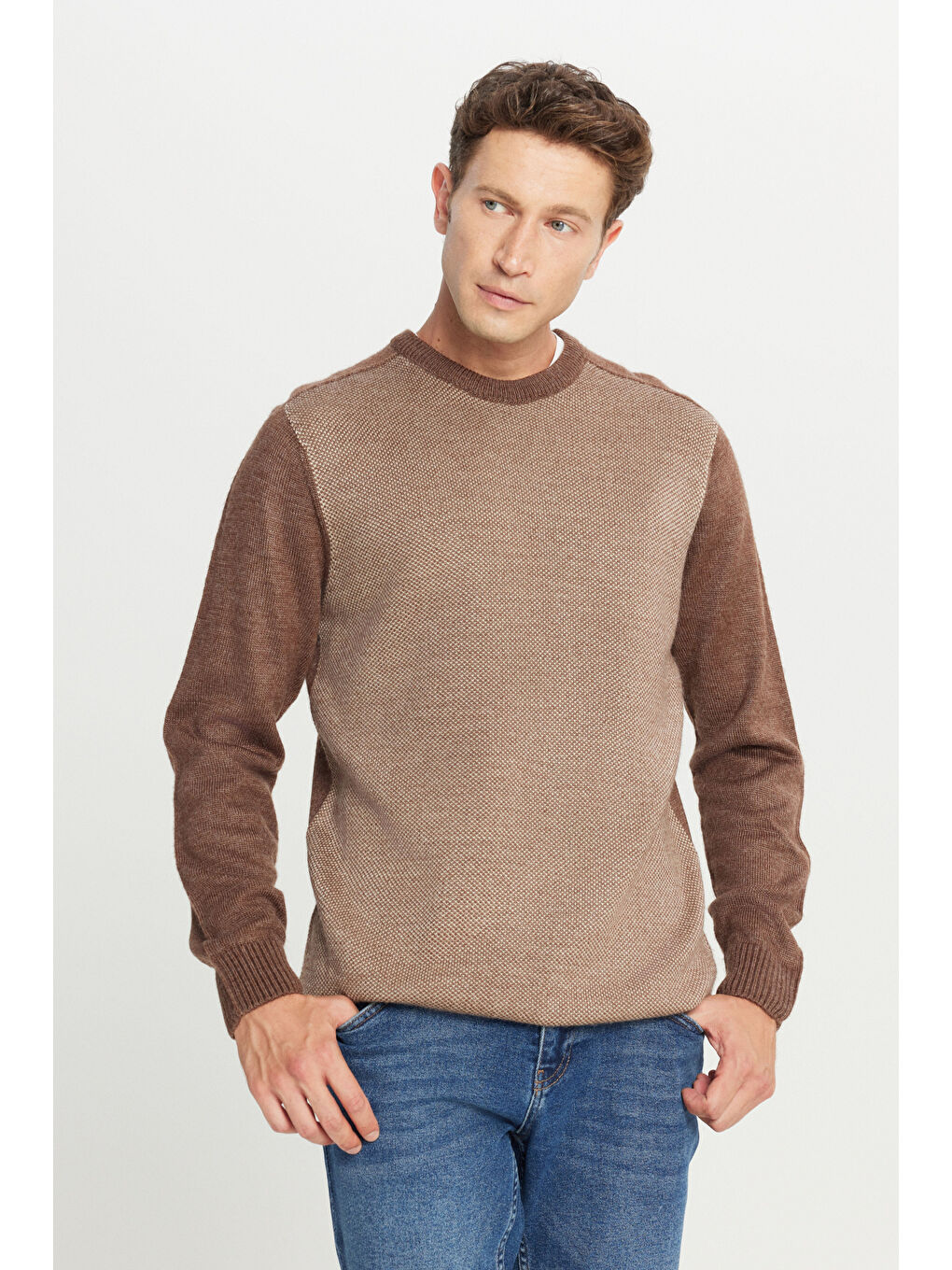 Kahverengi Erkek Kahve-Bej Standart Fit Normal Kesim Bisiklet Yaka Jakarlı Triko Kazak-2