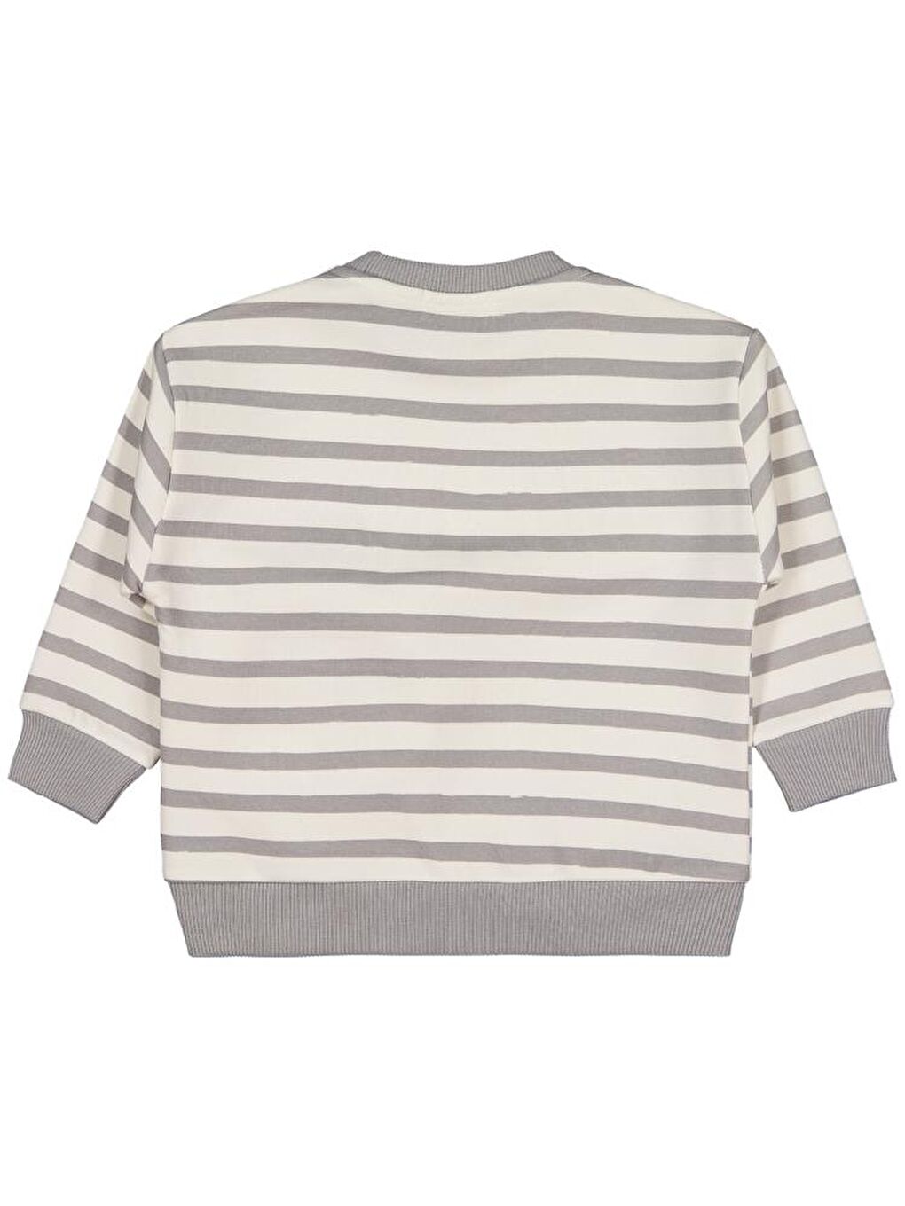 Gri Boys Köpek Çantalı 2-5 Yaş Sweatshirt-1