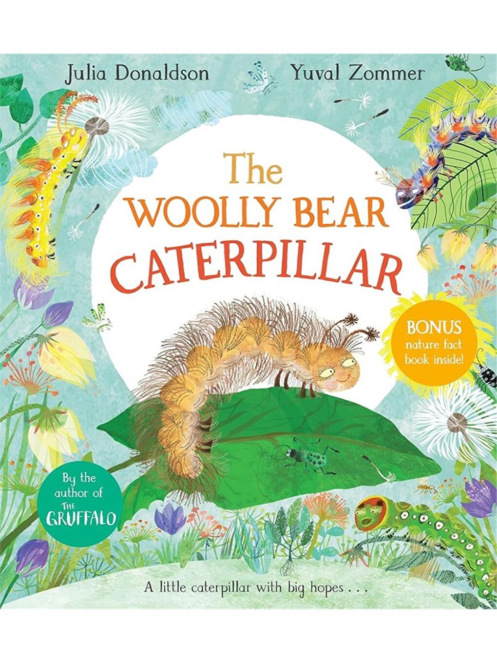 The Woolly Bear Caterpillar