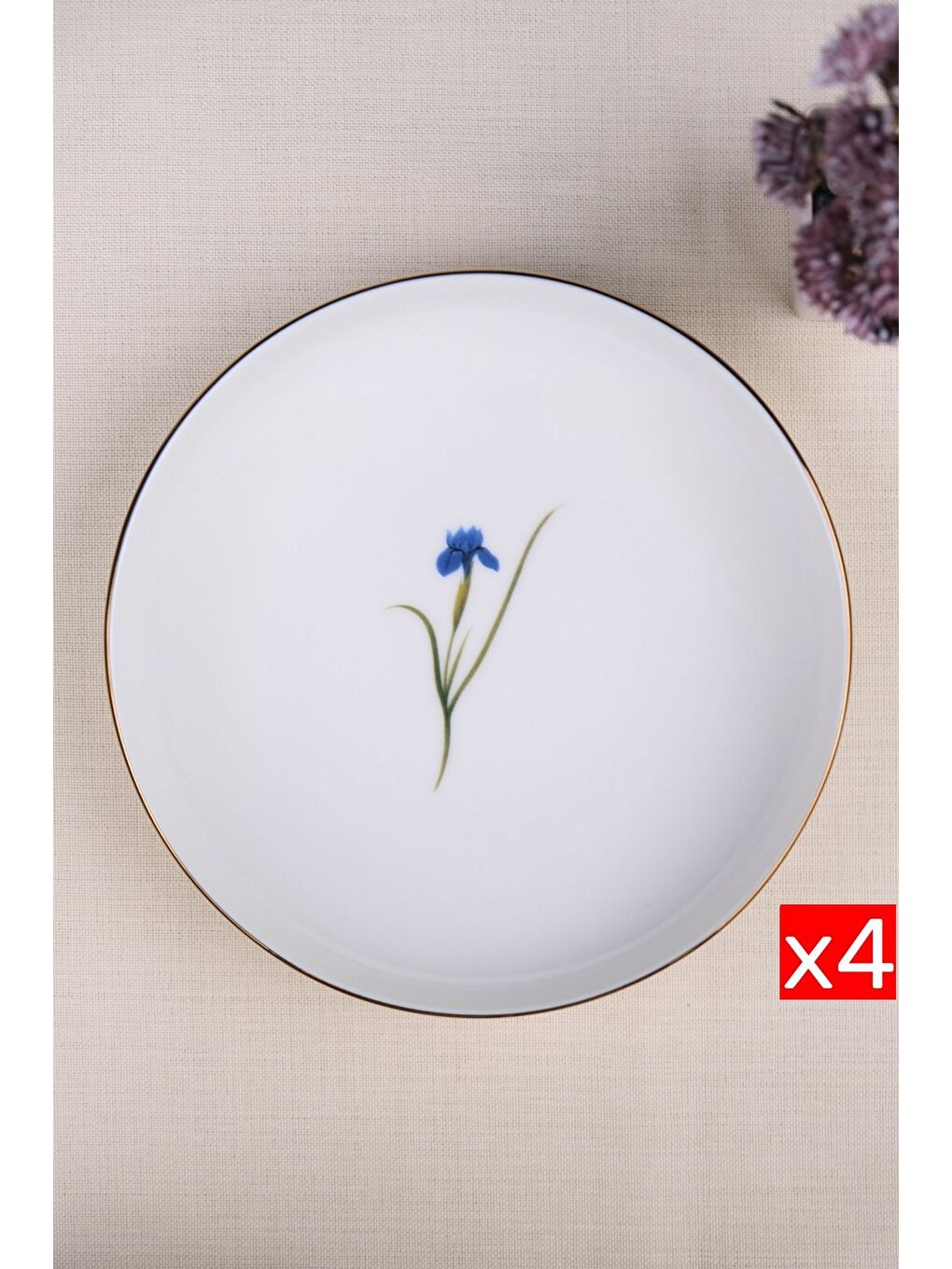 Karışık Porselen Natura İris Altın Yaldız Çukur Tabak 18,50cm 4 lü