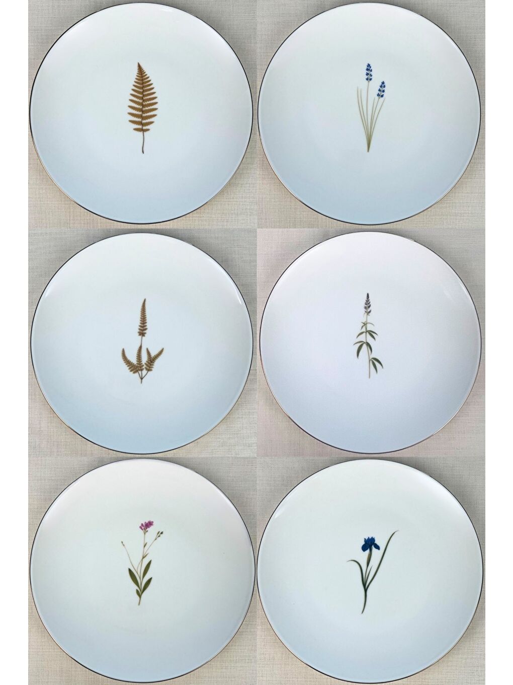 Karışık Porselen Natura Karma Altın Yaldız Servis Tabağı 24,50cm 6 lı