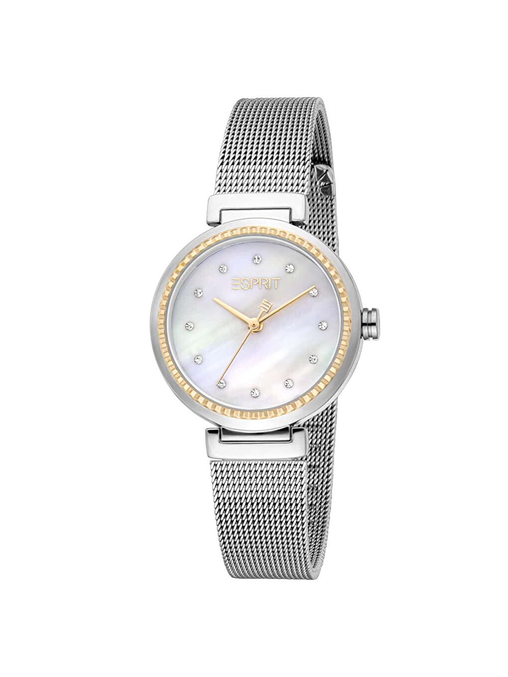 Gri ES1L506M0245 Kadın Kol Saati