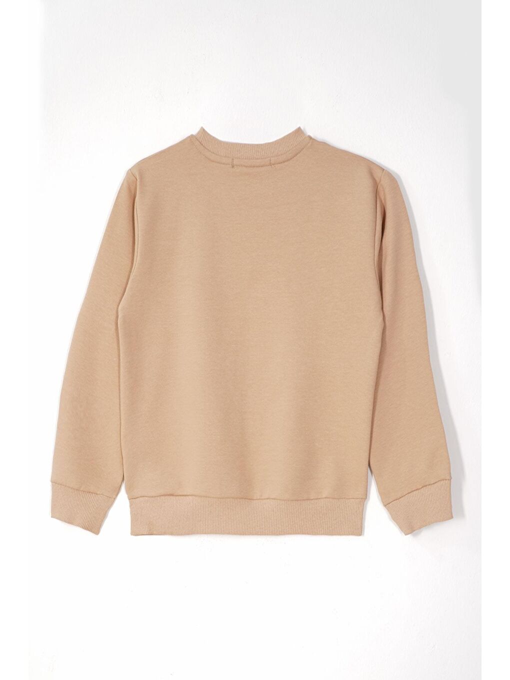 Bej Baskılı  Nakışlı Vizon Renk Erkek Çocuk Eşofman Takımı-4