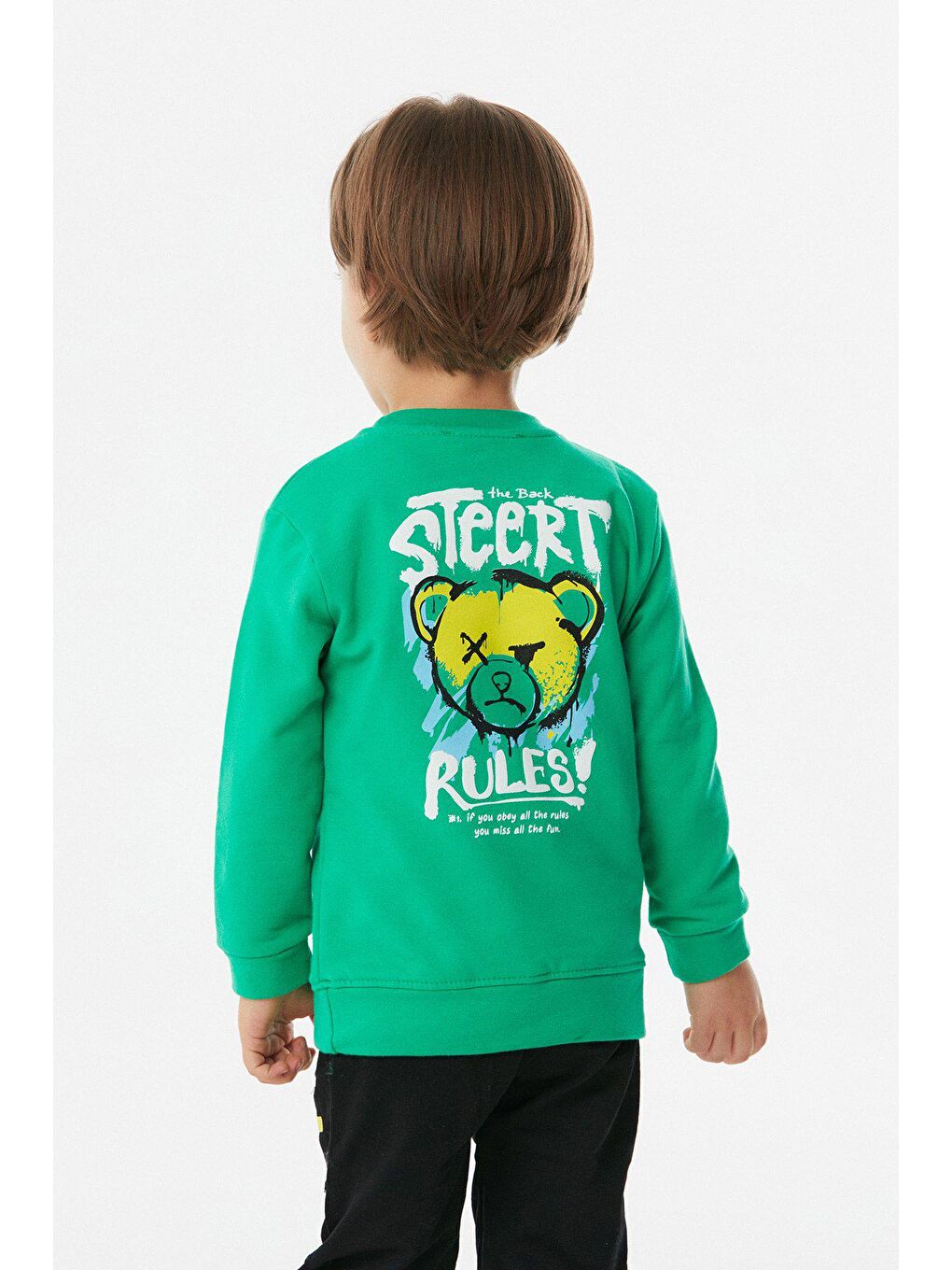 Yeşil Baskılı Bisiklet Yaka Erkek Çocuk Sweatshirt-4