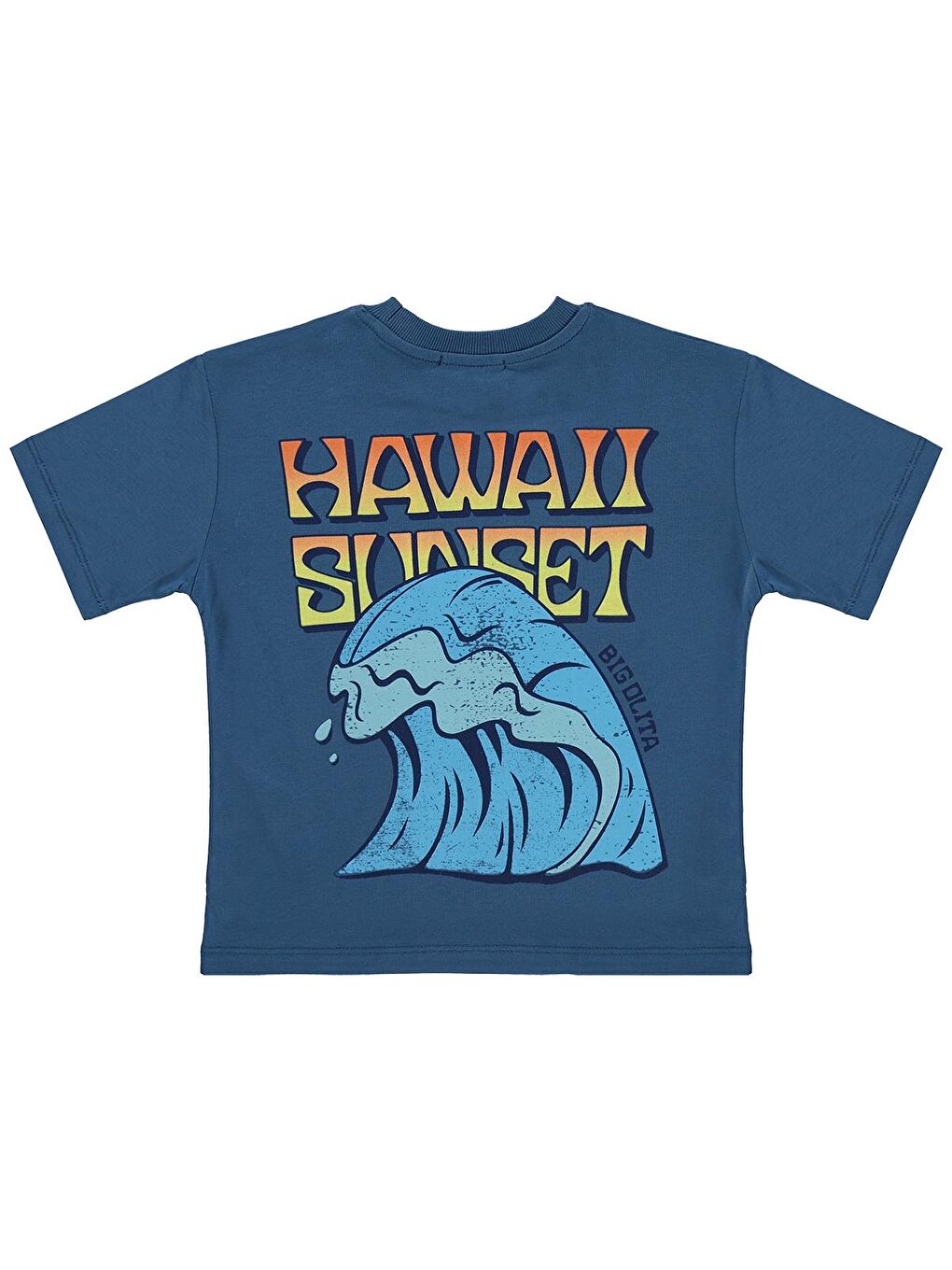 Petrol Boys Hawaii Sunset Baskılı 10-13 Yaş Tişört - Yeşil-1