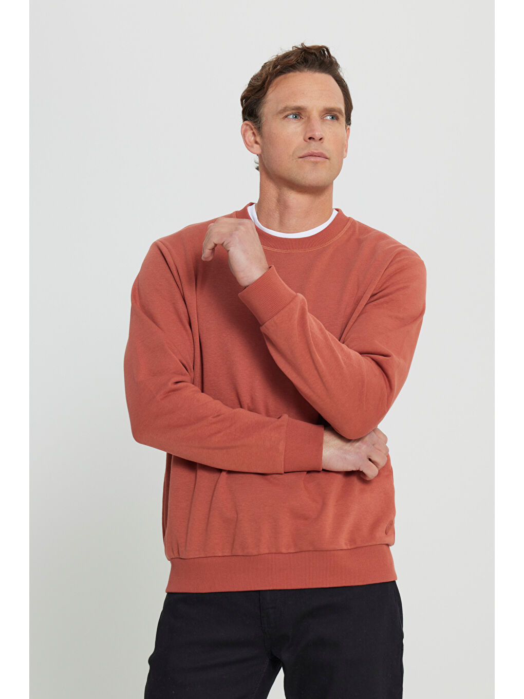 Kahverengi Erkek Açık Kahve Standart Fit Normal Kesim Bisiklet Yaka Pamuklu Sweatshirt-2