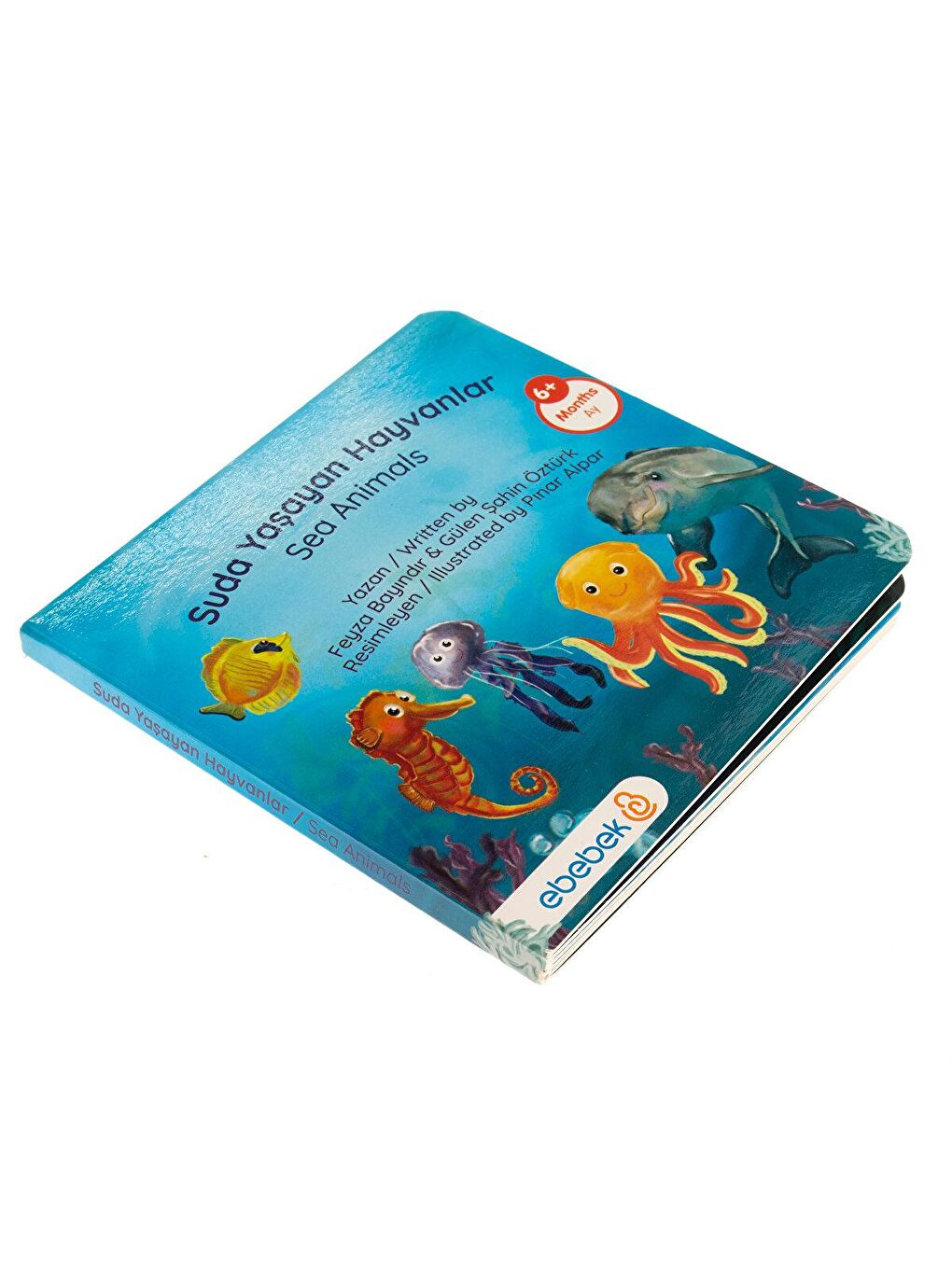 ebebek Karışık Suda Yaşayan Hayvanlar Kitap - 1