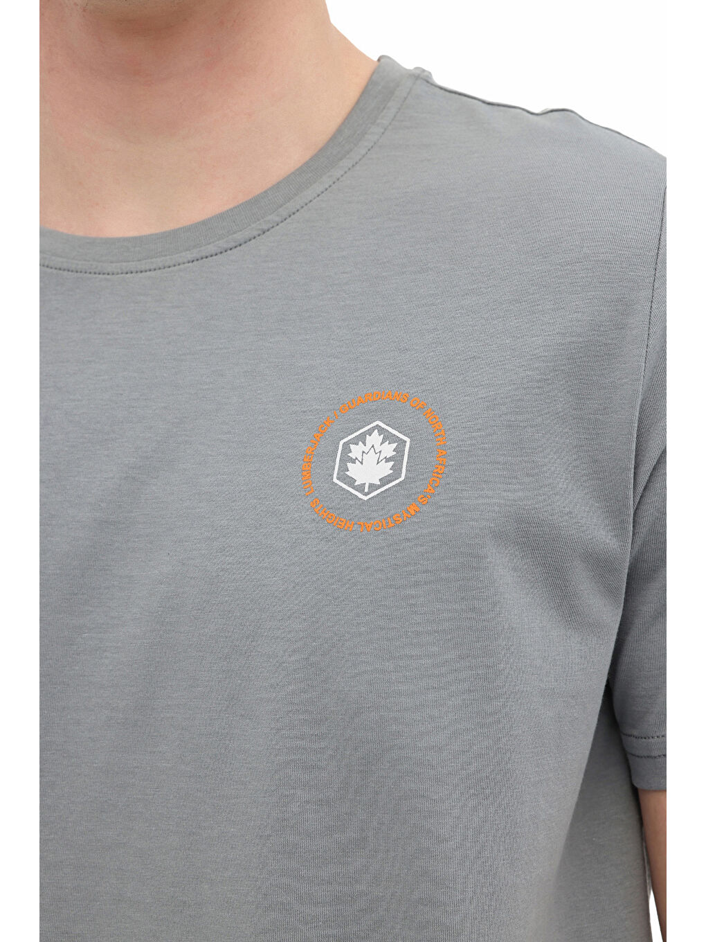 Gri ML THANOS 11KLR-01 Antrasit Erkek Kısa Kol T-Shirt-3